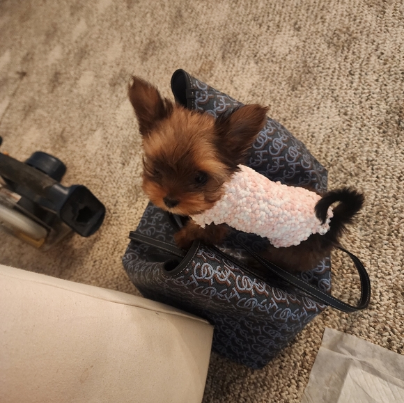 Priceless Package - Picture 6 of 12